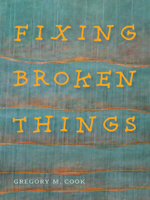 cover image of Fixing Broken Things